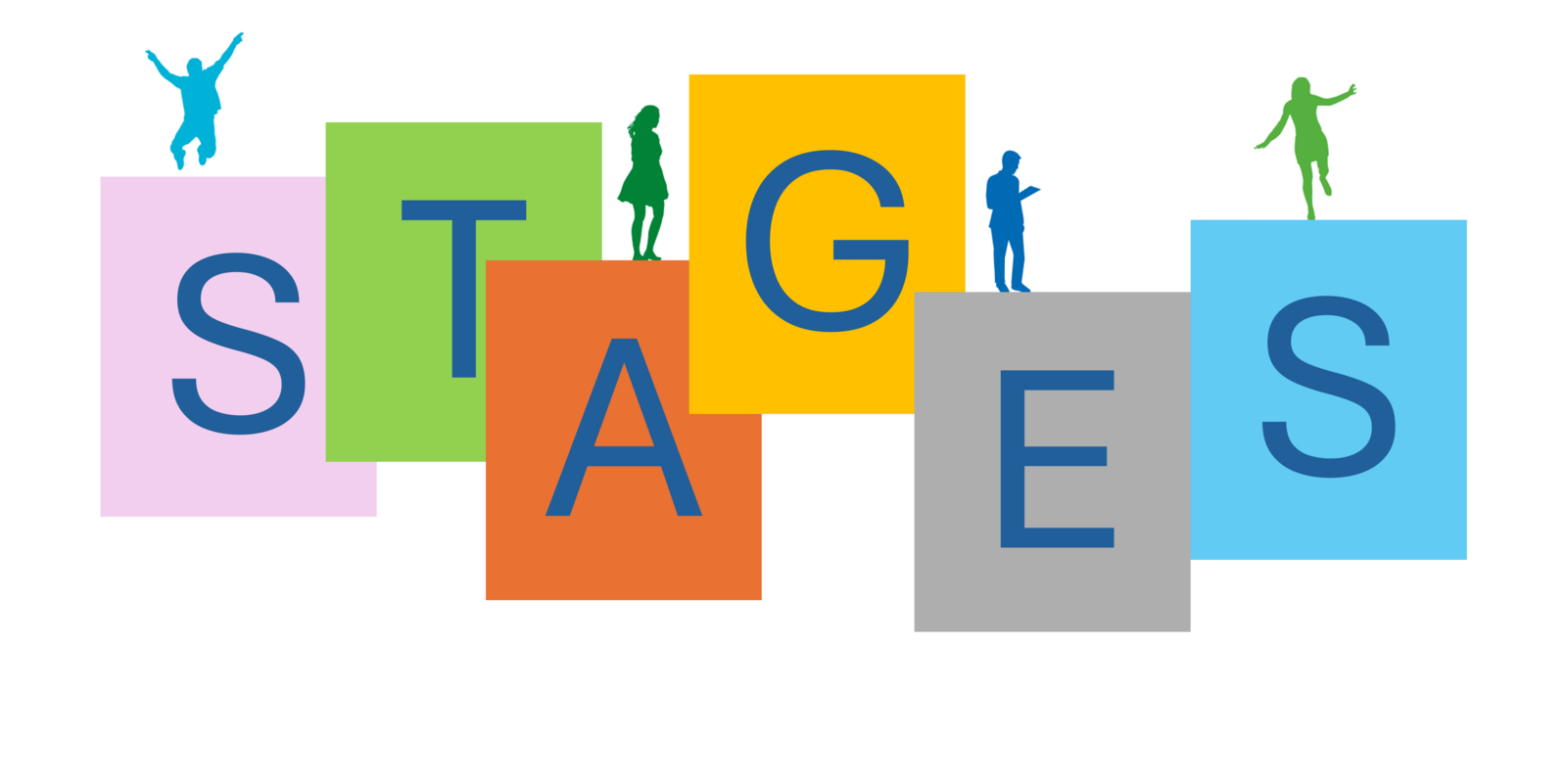 STAGE KUMITE pour TOUS