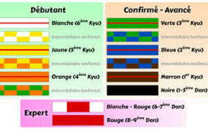 EVALUATION TECHNIQUE TE PASSAGE DE GRADES pour le DOJO d'HERBIGNAC