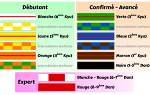 EVALUATION TECHNIQUE (3/8 ans) et PASSAGE DE GRADES (9 ans et +)